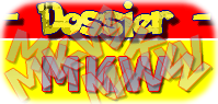 Dossier spécial sur Mario Kart Wii !